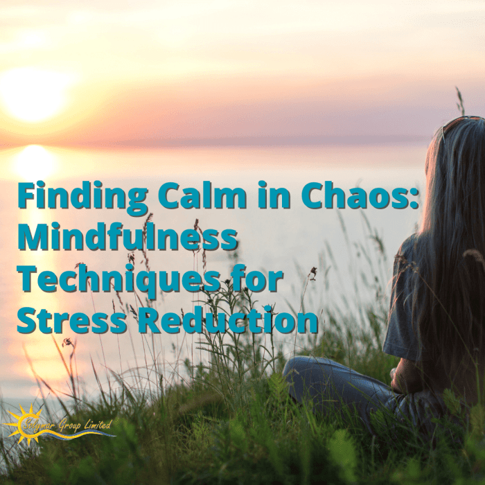 Calm finding chaos childhood educators early importance self care
